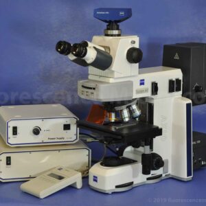 Upright Fluorescence Microscope