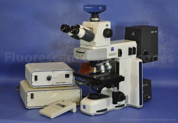 Upright Fluorescence Microscope